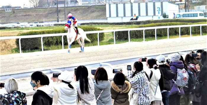 アオハル笠松競馬場で成長新天地へ 岐阜新聞デジタル