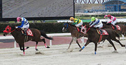 東海ダービーも熱い 岐阜新聞web