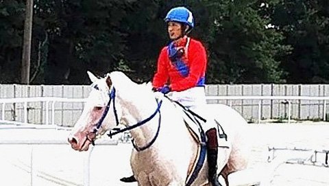 競走馬の蹄鉄がスタンドに飛んできた☆アオラキ杯、3勝目と同じ「加藤