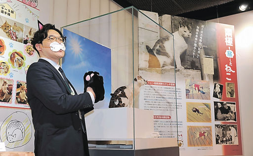 魅力満載「猫のすゝめ」東京農大が研究内容紹介