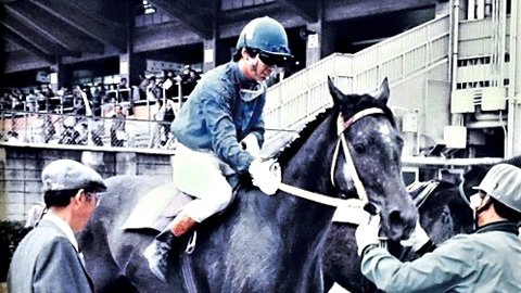 オグリキャップ出走ジャパンカップ JRA冊子 競馬