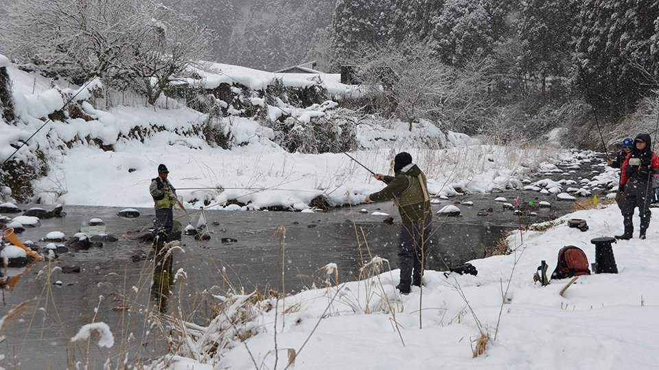 雪の郡上で渓流釣り、一緒に行かない？