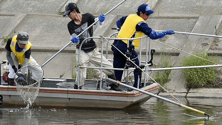 コクチバス駆除へ電気ショッカーボート 岐阜市の長良川で実証試験 | 岐阜新聞デジタル