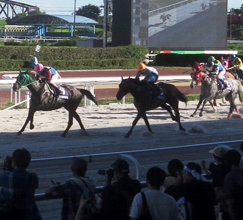 細江純子さんがトークショー、笠松競馬盛況 | 岐阜新聞デジタル