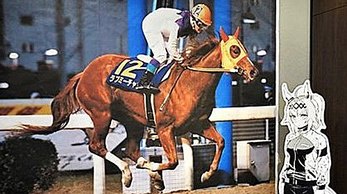 栗毛のシンデレラ」ラブミーチャン安らかに（1）地方馬2歳日本一