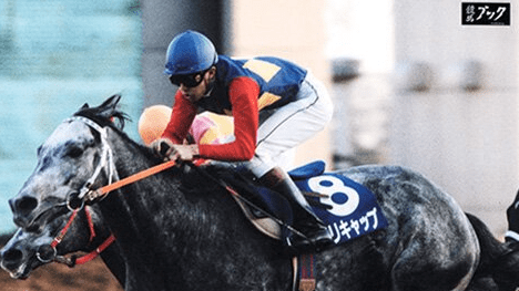 笠松競馬、オグリキャップは永遠の輝き | 岐阜新聞デジタル
