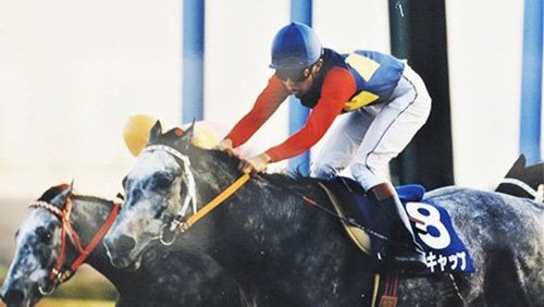 img_2146fa6d174450f0a2e63f19b5