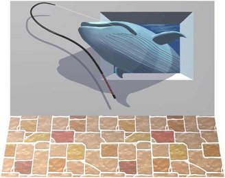 鯨を釣り上げた 鯨を釣り上げた kazuking_wh on X: