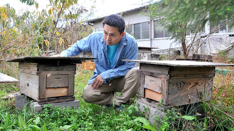 養蜂チャレンジしませんか 自然と一体になる 脱サラ 専門店営む男性が講座 岐阜 関市 岐阜新聞web