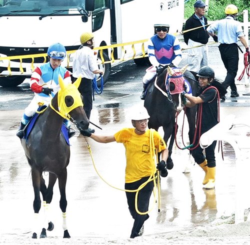 強い馬づくりは厩務員が第一」～オグリキャップ元調教師の鷲見昌勇さん