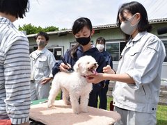 鼻の捜査官200回以上出動・警察犬シェパード「あたり」天国へ 鼻の捜査官200回以上出動・警察犬シェパード「あたり」天国へ