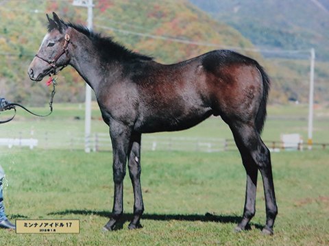 ストリート キャップ 馬 ストア