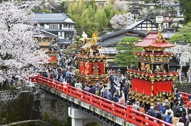 ３年ぶり屋台巡行、春の高山祭２日目 満開の桜と豪華共演、岐阜 | 岐阜新聞デジタル