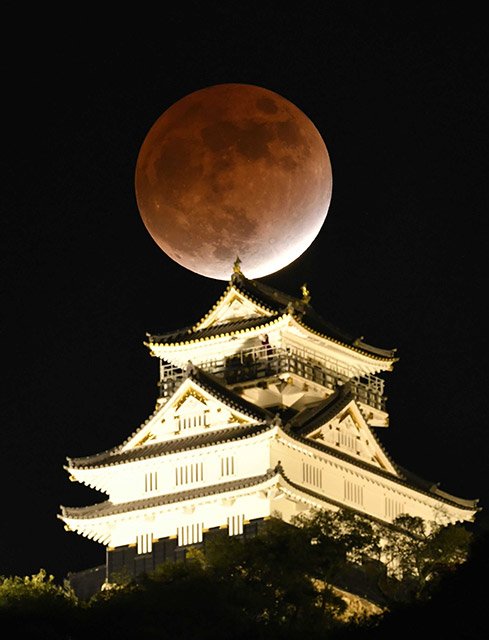 ほぼ皆既 月食 赤銅色の月 城の背後にくっきりと 岐阜 岐阜新聞web