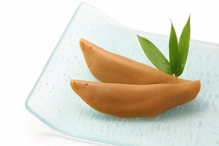 玉井屋本舗　本店