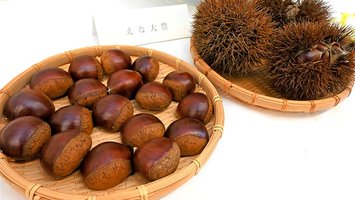 記事のサムネイル画像