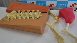 警察犬にフレンチブルドッグ、高難度試験も一発合格 岐阜県内初 警察犬にフレンチブルドッグ、高難度試験も一発合格 岐阜県内初