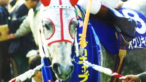 親子3代で応援」～オグリキャップファンから届いた35年前の手紙①