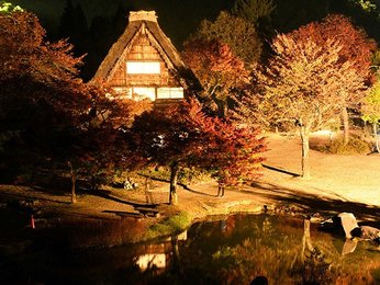 合掌家屋 夜長の幻想 岐阜 白川村 紅葉見頃でライトアップ 岐阜新聞web