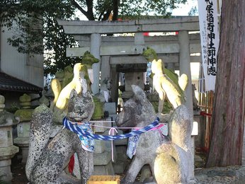 ネクタイで結ばれたキツネ、縁結び／あちこちに個性的なサル 日本三大