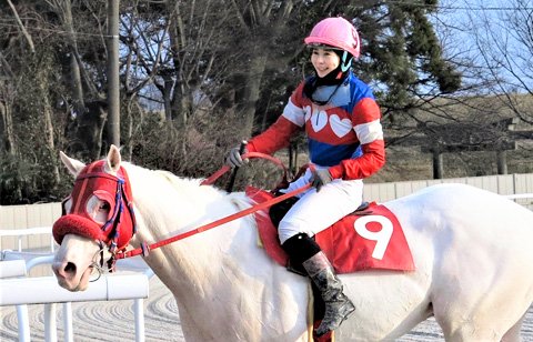 純白のアイドルホース」アオラキに熱視線 | 岐阜新聞デジタル