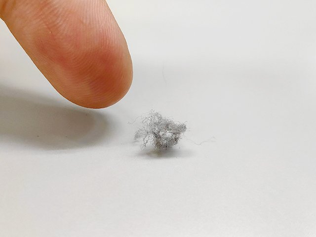 「ほこり」灰色なのはなぜ 効率良く掃除できる時間はいつ? | 岐阜新聞デジタル