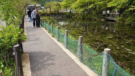 モネの池」遊歩道、舗装で安全に 観光客増え地面下がり対策、来場者