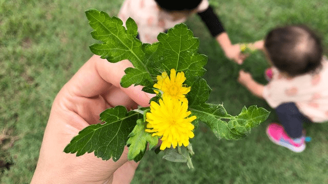 おまんまん って呼んじゃダメ 女性器どう教えるか 母親のｓｎｓに反響 岐阜新聞web