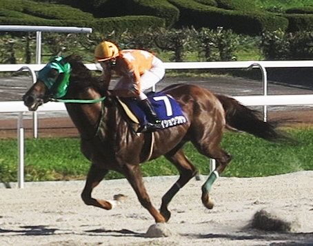 細江純子さんがトークショー、笠松競馬盛況 | 岐阜新聞デジタル