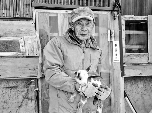 小さなヤギ牧場古里を元気に 富山の山あい、80歳が手づくり SNSで