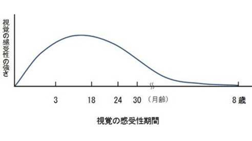 子どもの弱視 屈折異常や斜視が影響 | 岐阜新聞Web