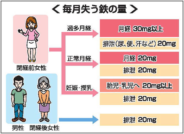 女性に多い貧血 岐阜新聞web