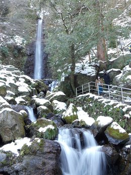酒が湧き出る伝説の滝、下流で水が消える…「養老の滝」の秘密 | 岐阜