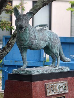 世界を変えた「盲導犬サーブ」主人守り足を失ったシェパード 35年前