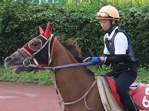 笠松に女性騎手候補生、来春デビューを目指す | 岐阜新聞デジタル