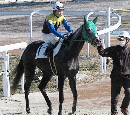 オグリの里2022十大ニュース（笠松競馬） | 岐阜新聞Web