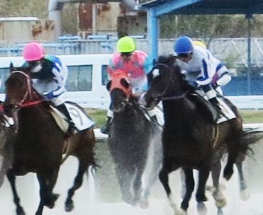 真夏の珍事 初勝利の セン馬 は 牡馬 だった 笠松競馬 岐阜新聞web