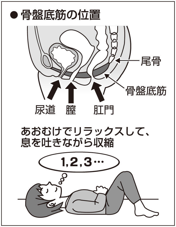 骨盤底筋トレーニング 岐阜新聞web