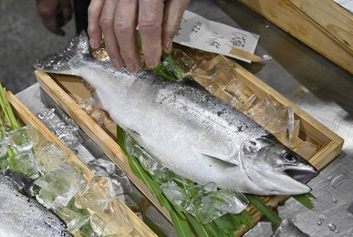 鹿の角入り鮎、サツキマスの「たも」 鹿の角入り鮎、サツキマスの「たも」