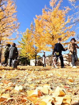 日曜の地学〈11〉岐阜の地質をめぐって (1980年) |本 | 通販