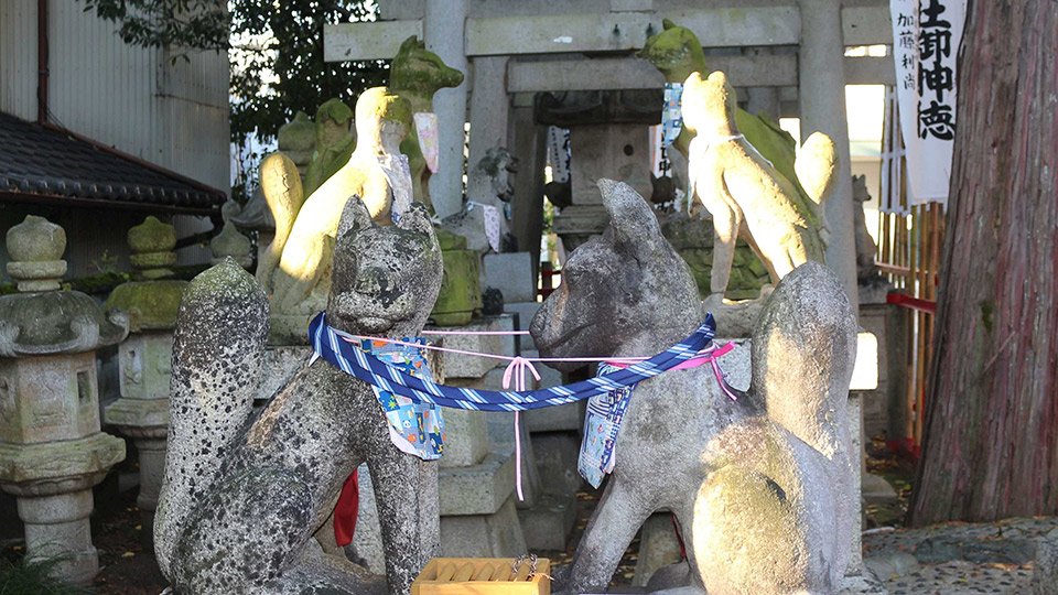 ネクタイで結ばれたキツネ、縁結び／あちこちに個性的なサル