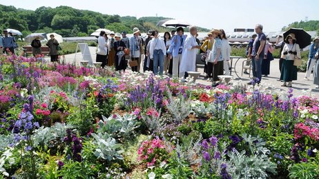 ぎふ緑化フェア来園100万人達成 16日限定でミニバラ配布 | 岐阜