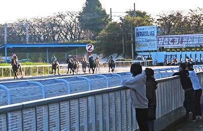 笠松競馬の元騎手ら「当たってしまう馬券」購入 | 岐阜新聞Web