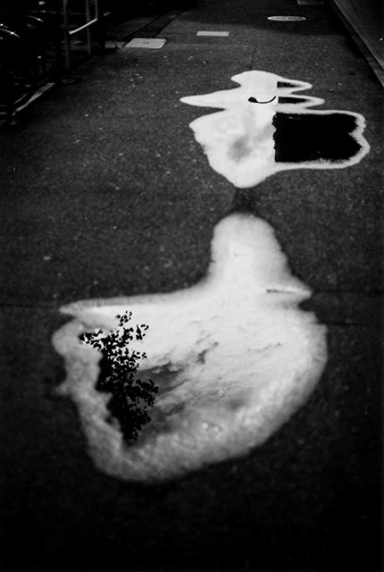 (撮影・三品鐘)