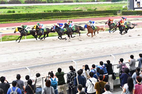 シンデレラグレイ賞、笠松競馬場にウマ娘ファン殺到（上）聖地巡礼 | 岐阜新聞Web