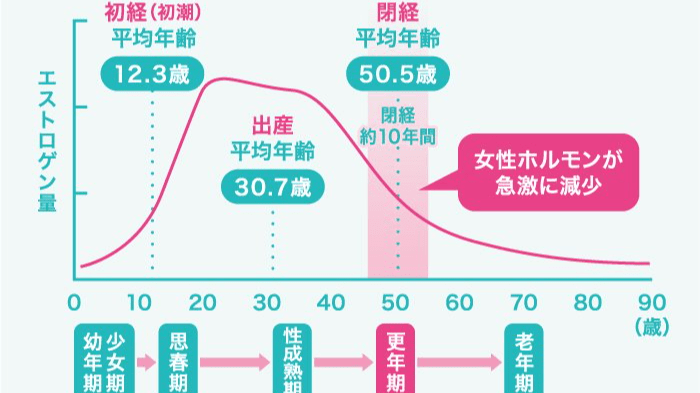 Vol 2 女性ホルモンのはたらきを知る 岐阜新聞web