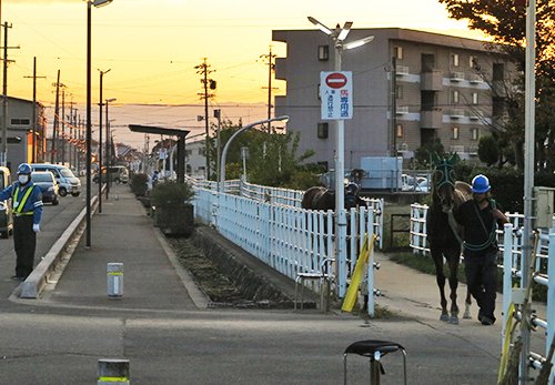 放馬で厩務員２人けが 赤信号点滅 笠松競馬 岐阜新聞web