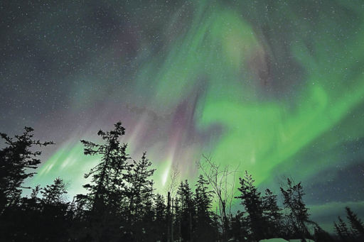 オーロラや雪原 厳しく美しい アラスカの大自然 | 岐阜新聞Web