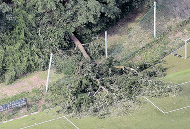 グラウンドで倒木 女児ら7人重軽傷 静岡、サッカー大会中 | 岐阜新聞