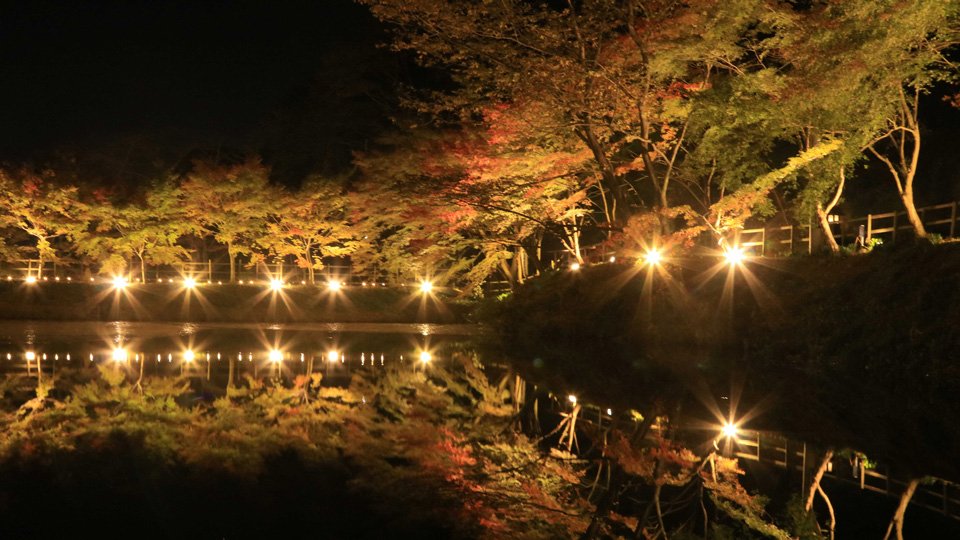 岐阜県 安い チジミ 照明